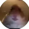 Tammy McCarthy - @tammy7575 - TikTok