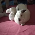 Tami & Michael Wilhelm - @cuties_connect_compassionately - Instagram