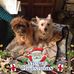 Tami Morgan - Facebook