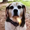 tamimullins533 - @tamimullins533 - TikTok