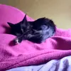 Tami Navarro - @taminavarro_ - TikTok
