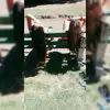 Tamii Navarro - @tamiinavarro2 - TikTok