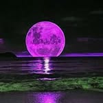 Tami Neumann - @tamineumann - Instagram