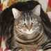Tamie Nystrom - Facebook