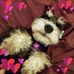 Tami Perry - Facebook