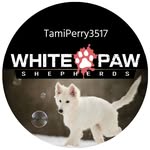 Tami Perry - @whitepawpups - Instagram