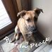 Tami Peiffer - Facebook