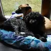 Tammy Pifer875 - @tammypifer875 - TikTok