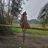 Tny89 - @tonytamiraymond - TikTok