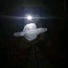 tamirey👀 - @ariamora.7291 - TikTok