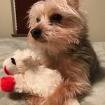 Tami Ritter - @tami.ritter.12 - Instagram