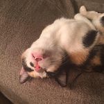 Tami Rodgers - @tami.rodgers888 - Instagram