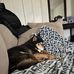 Tami Ross - Facebook