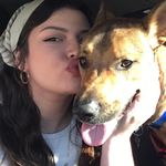 Tami Rowland - @aibarry4 - Instagram