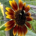 Tami Rushing - @tgrushing - Instagram