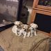 Tami Jones Ruth - Facebook
