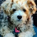 Tami Laughlin Richardson - @tamiruth - Instagram