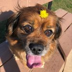 Tami - @tamischuster - Instagram