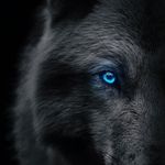 Tami Scott - @wolfiefire2020 - Instagram