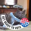 Tami Scott - @tami.scott40 - TikTok