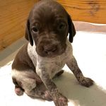 Tami Shaffer - @tamtwolou - Instagram