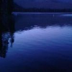 Tami Shaffer - @shaffer6833 - Instagram
