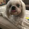 Tammi SHAFFER - @bookeylover - TikTok