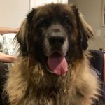Tami Branstetter Shaver - @shavertami - Instagram