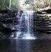 Tammie Shaver - Facebook