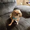 Tammi Shaw - @tammi.shaw - TikTok
