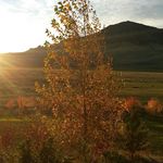 Tami Snyder - @dtsnyder2000 - Instagram