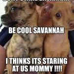 Tami Spencer - @gabrielle8585 - Instagram