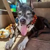 Tami Springer - @tami.springer - TikTok
