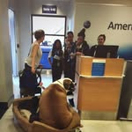 Tami Stanley - @dooderbomb - Instagram