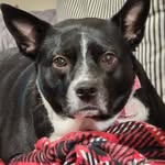 Tami Stevens - @tamistevens9 - Instagram