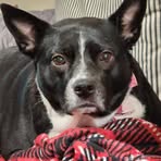 Tami Stevens - Facebook