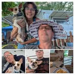 Tammy Stevens - Facebook