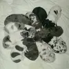 tammie stevenson - @tammie.stevenson - TikTok
