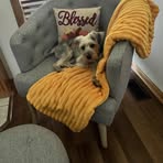 Tami Temple Wixon - Facebook