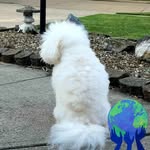 Tami Tompkins - @tamitompkins03 - Instagram