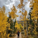 Tamra Tompkins - @tamratompkins - Instagram
