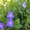 Tami Turner3719 - @tamiturner3719 - TikTok