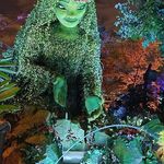 Tami Turner - @tami.turner.5 - Instagram