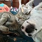 Tami Turner Coder - @turner_momsterof3 - Instagram