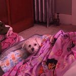 Tami Renea Ward - @tami.ward.5 - Instagram