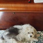 Tami Ward - @tamiward53 - Instagram