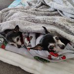 Tami Grush Waterston - @tamiwaterston - Instagram