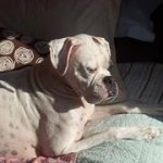 Tami Waters - @tammer39 - Instagram