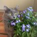 Tami Watts - Facebook