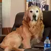 tamiwatts - @hammerthegolden - TikTok